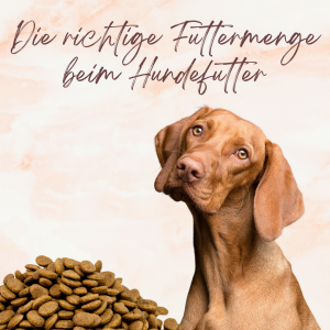 Futtermengen beim Hundefutter