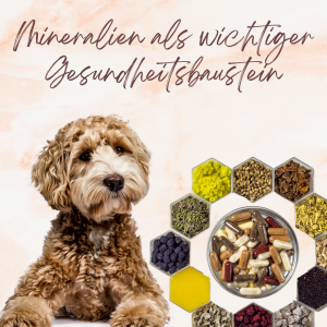 Mineralien als Gesundheitsbaustein