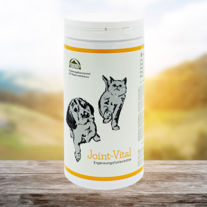 Joint Vital - Hilfe gegen Schmerzen beim Hund im Alter
