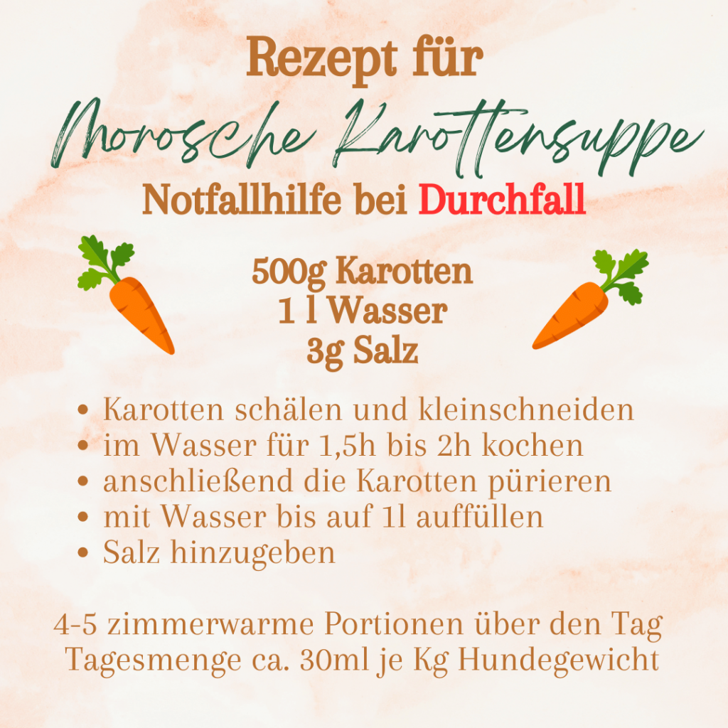 Rezept Morosche Karottensuppe - Karotten als Booster