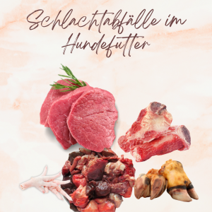 Schlachtabfälle im Hundefutter