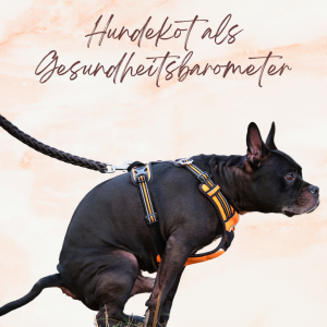 Hundekot als Gesundheitsbarometer