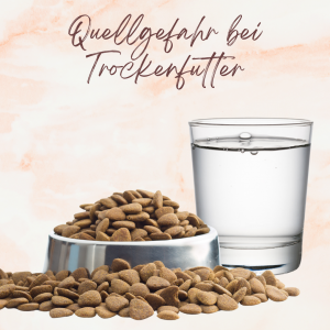 Quellgefahr bei Trockenfutter