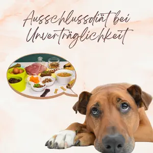 Blogbeitrag - Ausschlussdiät