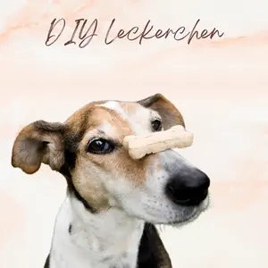 Blogbeitrag - DIY Leckerchen