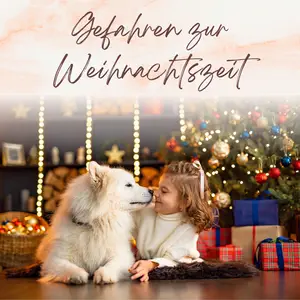 Blogbeitrag - Gefahren zur Weihnachtszeit