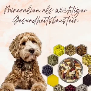 Blogbeitrag - Mineralien als Grundbaustein