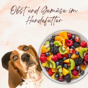 Blogbeitrag - Obst und Gemüse im Hundefutter