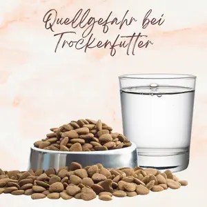 Blogbeitrag - Quellgefahr