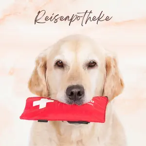 Blogbeitrag - Reiseapotheke
