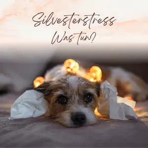 Blogbeitrag - Silvesterstress