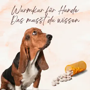 Blogbeitrag - Wurmkur für Hunde