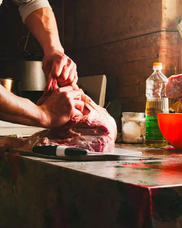Hundefutter fleisch