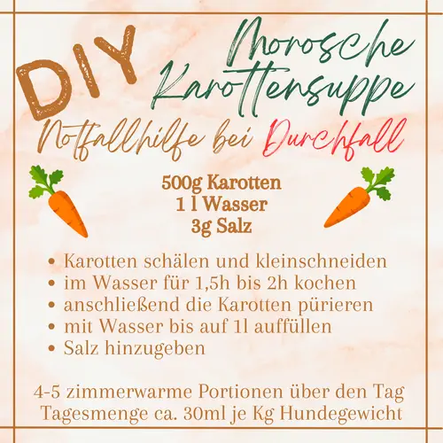 Morosche Karottensuppe