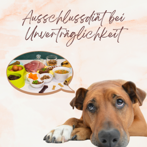 Ausschlussdiät bei Unverträglichkeiten