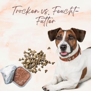 Trocken vs. Feuchtfutter
