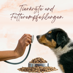 Tierärzte und Futterempfehlungen