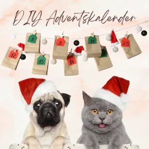 Blogbeitrag Adventskalender Hund