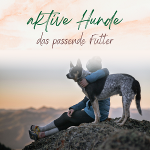 Futter für aktive Hunde