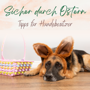 Sicher durch Ostern mit Hund