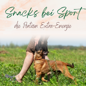 Snacks für Extra Energie Hunde Sport