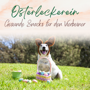 Osterleckerein für den Hund
