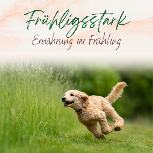 Frühlingsstark