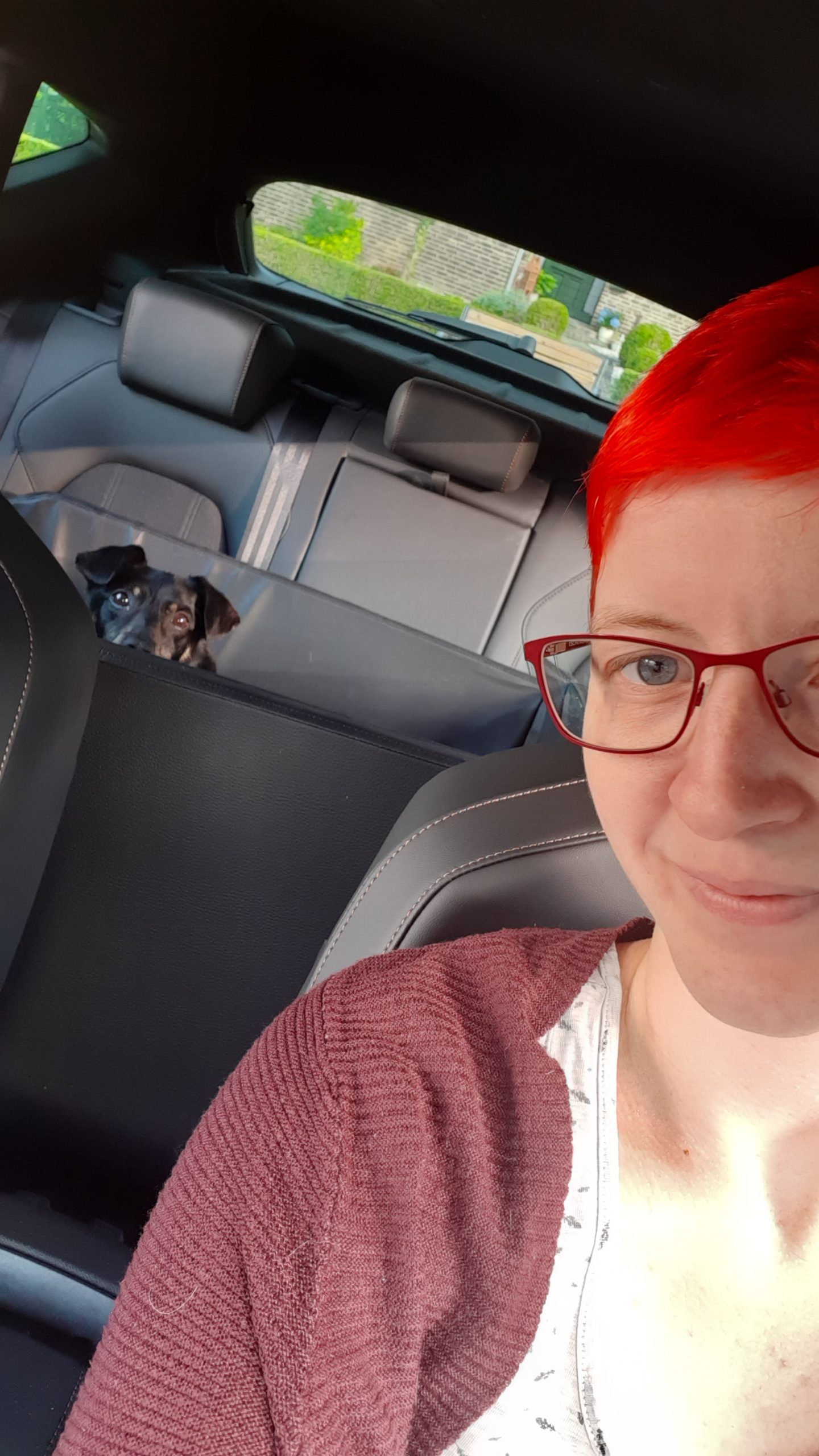 Unterwegs im Urlaub mit Hund Bruno ohne Urlaubsstress