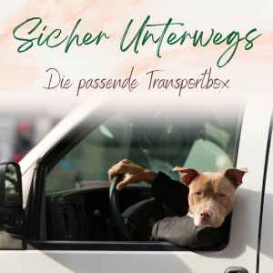 Die ideale Transportbox