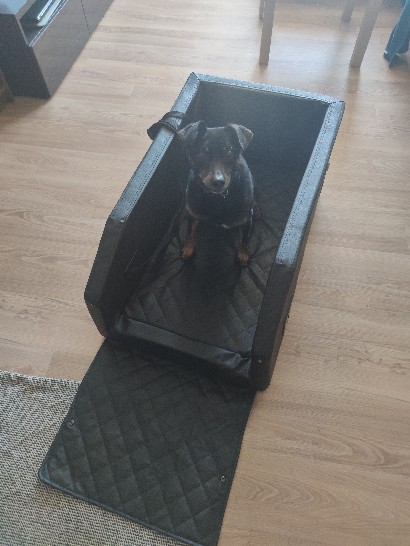 Bruno Hundebett ideale Transportbox für den Hund