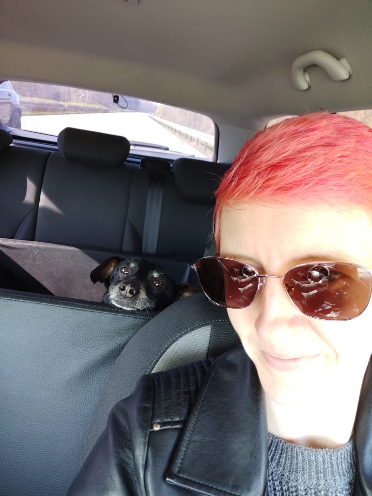 Bruno Hundetransportbox - Urlaub mit Hund