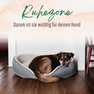 Ruhezone für den Hund