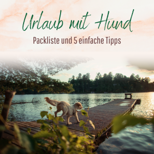 Urlaub mit Hund - Tipps und Tricks