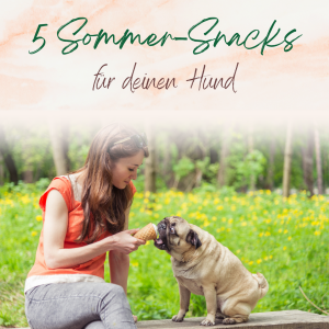Sommer-Snacks für den Hund Hundeis