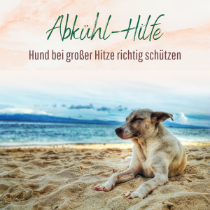Abkühl-Hilfe Hund vor Hitze schützen - Abkühlung für den Hund