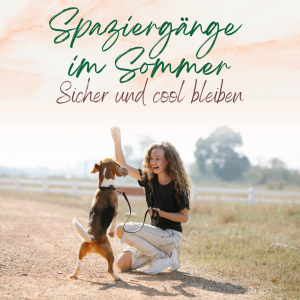 Sommerspaziergang mit Hund