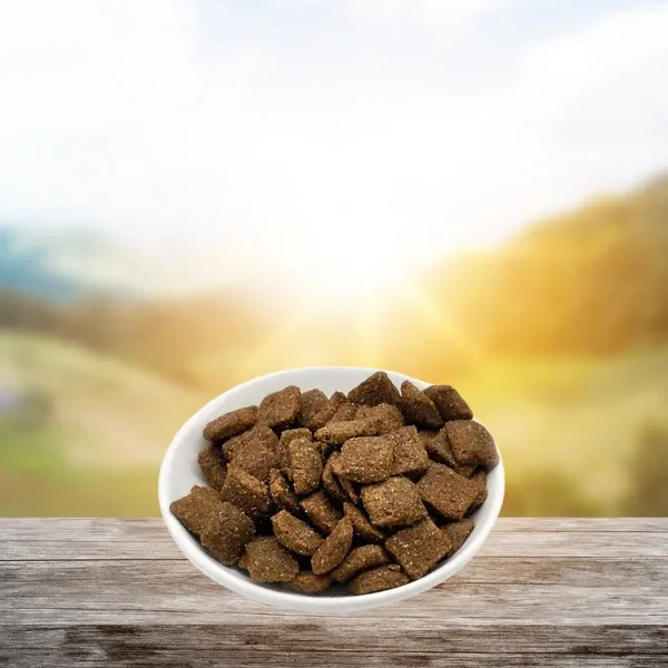Reico Trockenfutter Wellness