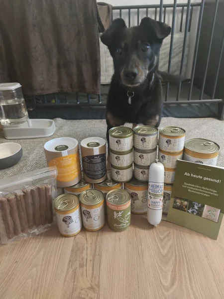 Schnauzenschmaus Futterberatung gesundes Hundefutter Sortiment Hund