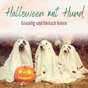 Blogbeitrag Halloween mit Hund