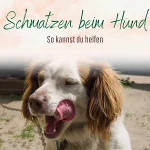 Blogbeitrag Schmatzen beim Hund