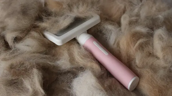 Haare Fellwechsel Hund