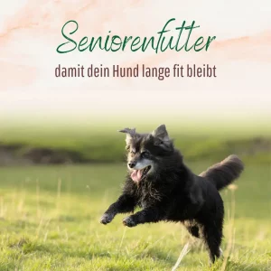 Blogbeitrag Seniorenfutter