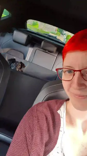 Schnauzenschmaus im Auto