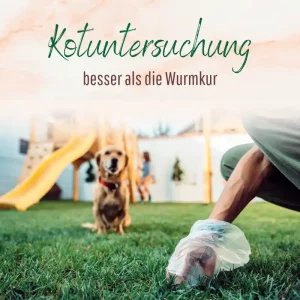 Blogbeitrag Kotuntersuchung beim Hund
