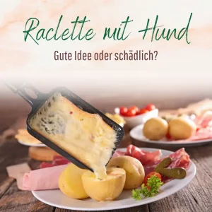 Blogbeitrag Raclette