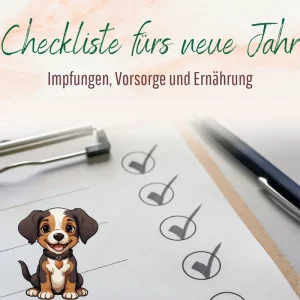 Blogbeitrag Checkliste zum Jahreswechsel