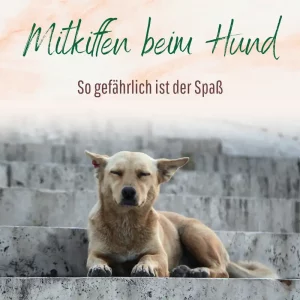 Blogbeitrag Wenn der Hund mitkifft