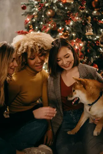 Frauen mit Hund zu Weihnachten