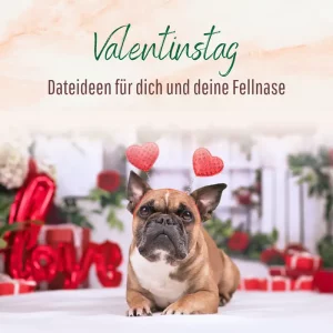 Blogbeitrag Valentinstag