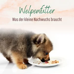 Blogbeitrag Welpenfutter